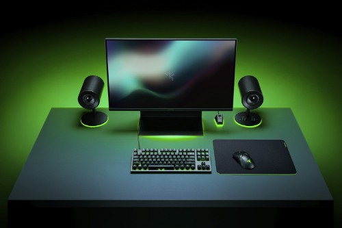 Razer Gigantus V2 - 3XL Gaming mouse pad Black, Green
