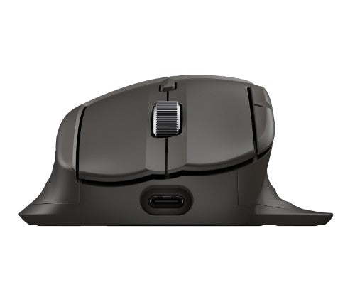 HP Ultra-Fast-Scroll Wireless Mouse 785M