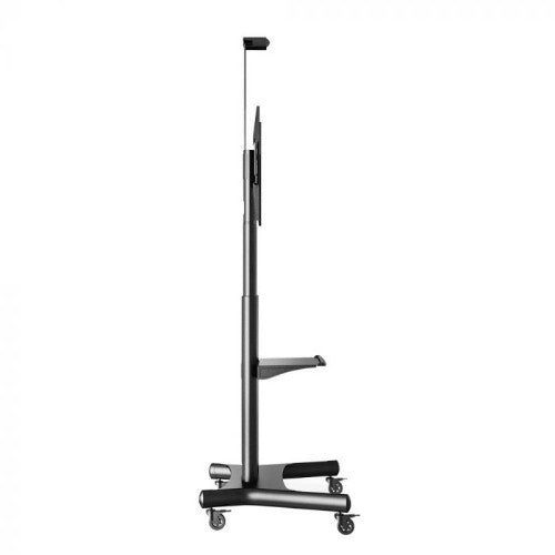 Atdec AD-TVC-75 monitor mount / stand 2.03 m (80") Floor Black