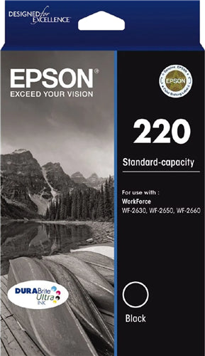 Epson C13T293192 ink cartridge Original Standard Yield Black
