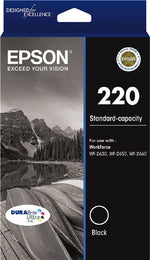 Epson C13T293192 ink cartridge Original Standard Yield Black
