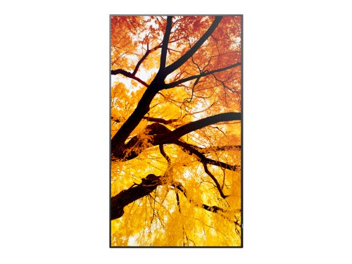Sharp MultiSync M432 Digital signage flat panel 108 cm (42.5") LCD 550 cd/m² 4K Ultra HD Black