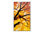Sharp MultiSync M432 Digital signage flat panel 108 cm (42.5") LCD 550 cd/m² 4K Ultra HD Black