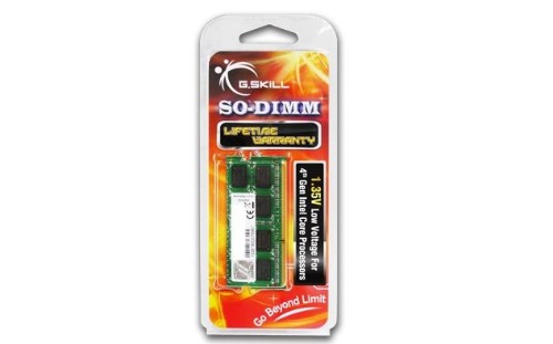 G.Skill 8GB DDR3-1600 memory module 1 x 8 GB