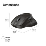 HP Ultra-Fast-Scroll Wireless Mouse 785M